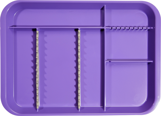 viola neon6